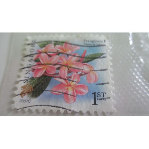 Timbre Singapourien 1st " Frangipani