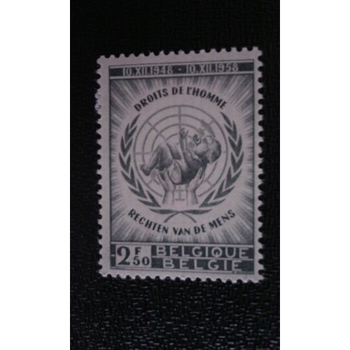 Timbre Belgique Yt 1089 10 Ans De Déclaration Universelle Des Droits De L'homme 1958