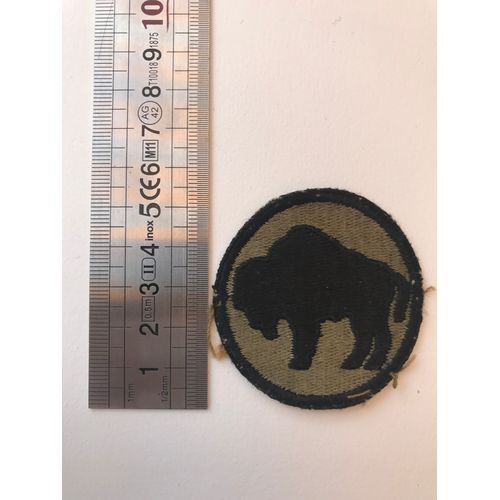 Patch 82nd Infantry