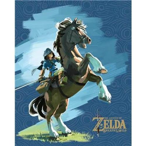 Cadre 3d - Zelda Breath Of The Wild - Link Et Epona