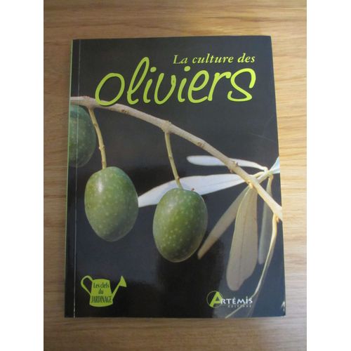 La Culture Des Oliviers