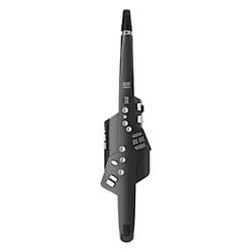 Aerophone AE-10G