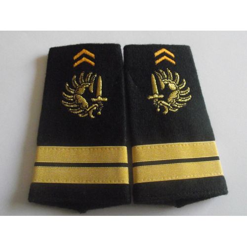 Fourreaux Neuf Grade Lieutenant Chasseurs Parachutistes Armée De Terre