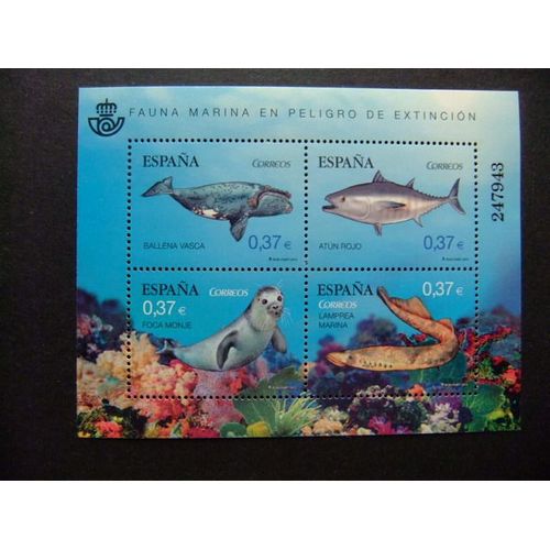 España Espagne 2013 Fauna Marina Peces Marine Life- Fishes Poisson Edifil 4799 ** Mnh