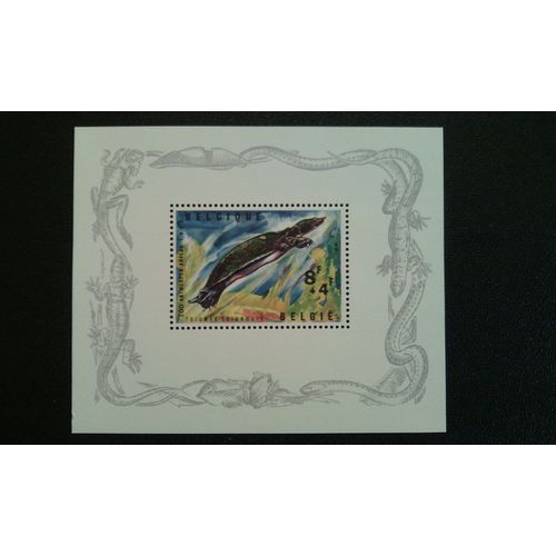 Timbre Belgique Yt Bf 39 Tortue À Carapace Molle Du Nil (Trionyx Triunguis) 1965