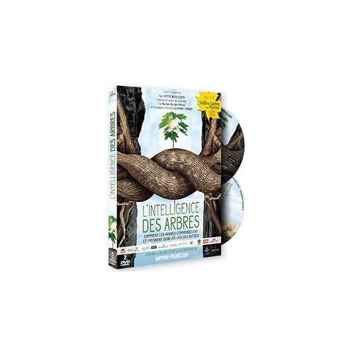 L'intelligence Des Arbres