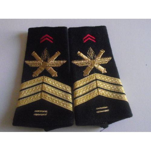 Fourreaux Neuf Grade Sergent-Chef 2 Brisques 402ème Ra Régiment D'artillerie Sol Air Armée De Terre