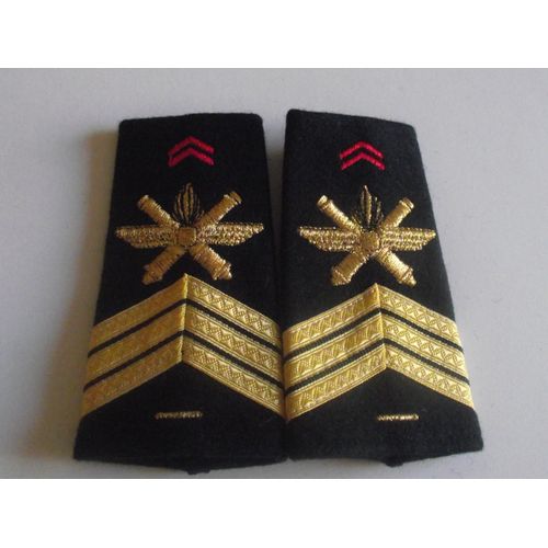 Fourreaux Neuf Grade Sergent-Chef 1 Brisque 402ème Ra Régiment D'artillerie Sol Air Armée De Terre