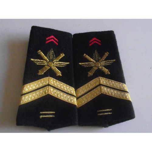 Fourreaux Neuf Grade Sergent 2 Brisques 402ème Ra Régiment D'artillerie Sol Air Armée De Terre