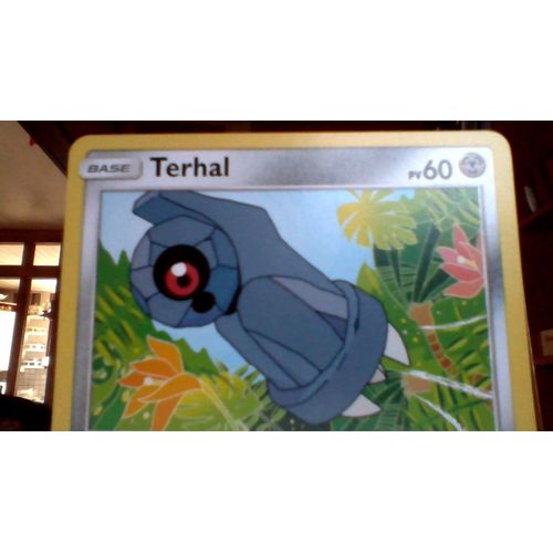 Terhal 60 Pv