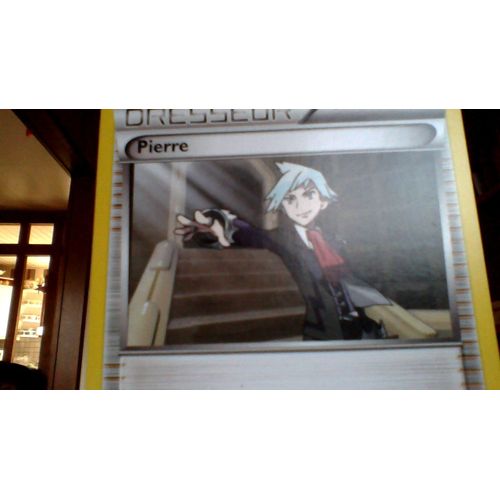 Pierre Rochard, Maitre De La Ligue D'hoenn
