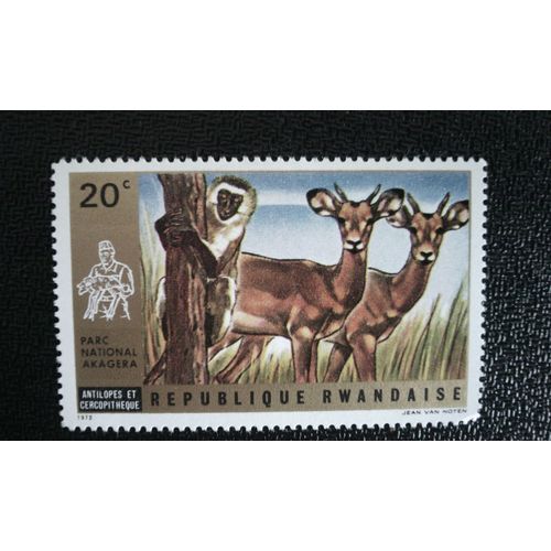 Timbre Rwanda Yt 451 Oribi (Ourebia Sp.), Vervet (Chlorocebus Sp.) 1972