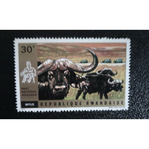 Timbre Rwanda Yt 452 Buffle D'afrique (Syncerus Caffer) 1972