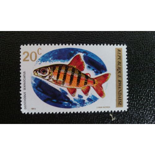 Timbre Rwanda Yt 553 Distichodus À Six Bandes (Distichodus Sexfasciatus) 1973