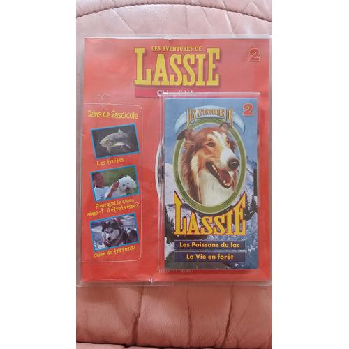 Les Aventures De Lassie, Chien Fidèle