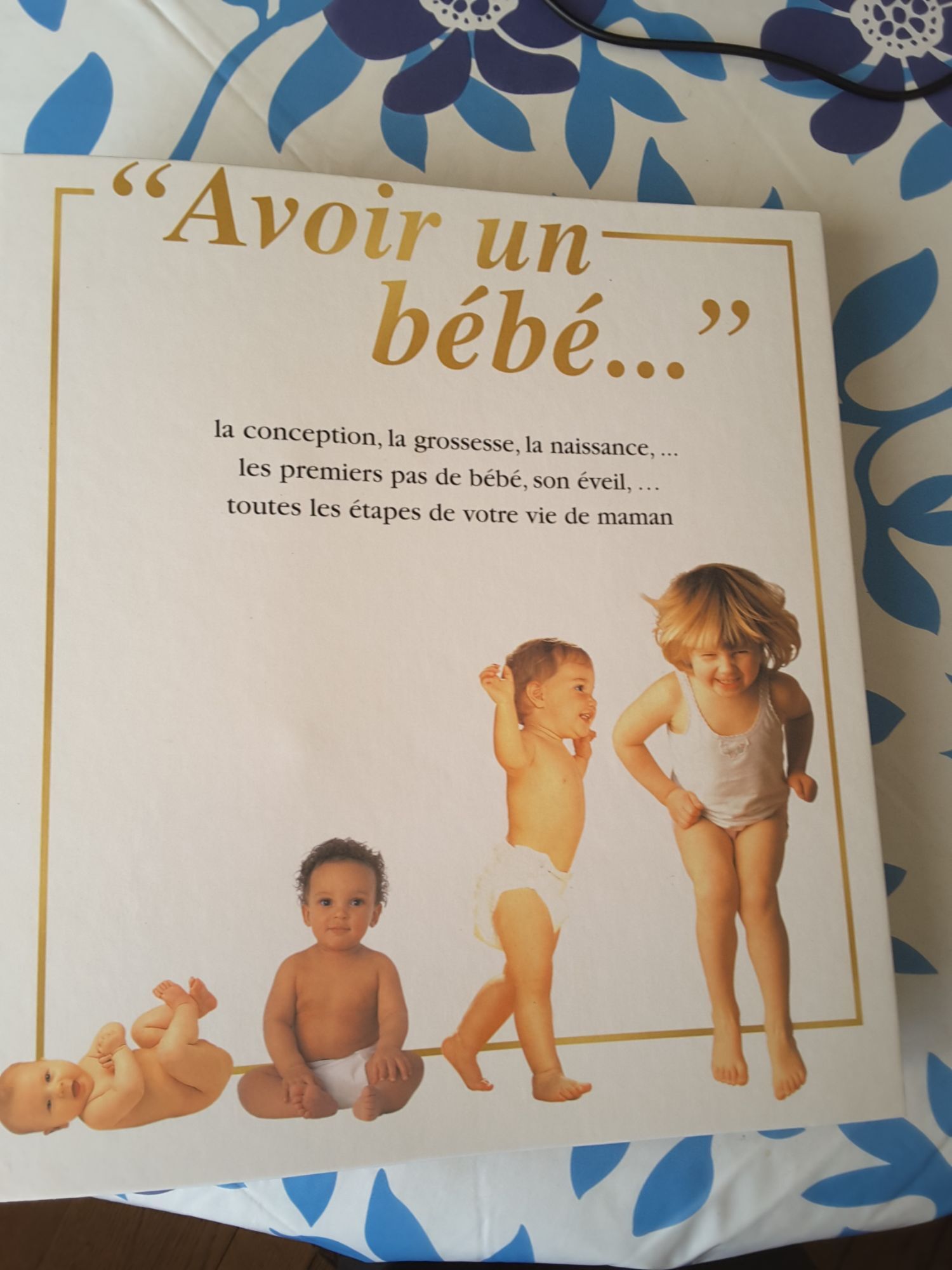 Avoir Un Bebe Sante Medecine Rakuten