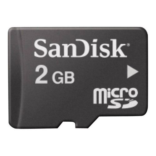 SanDisk - Carte mémoire flash - 2 Go - micro SD
