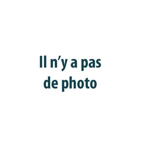 Feu Arriere Gauche Sans Partie Electrique Hayon Pour Fiat Doblo
