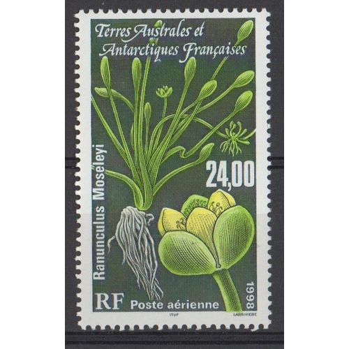 Timbre France Taaf 1998 Poste Aérienne Yvert Et Tellier N°146 Pa Ranunculus Moseleyi Neuf** Sans Traces De Charnière Terres Australes Et Antarctiques Françaises