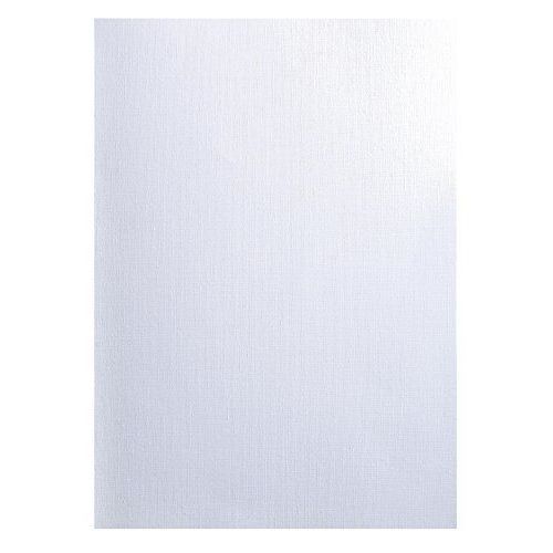 Exacompta 2751c - Un Paquet De 100 Couvertures Forever En Carte Rigide Grain Toilé 21x29,7 Cm 270g Blanc