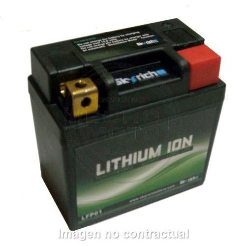 Batterie Au Lithium Skyrich Lfp01