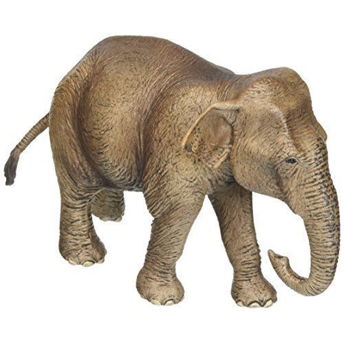 Schleich - 14753 - Eléphant D'asie - Femelle