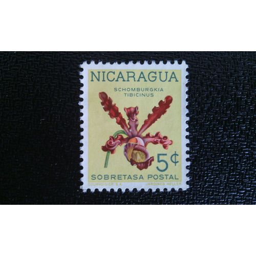 Timbre Nicaragua Yt 866 Schomburgkia Tibicinus 1962