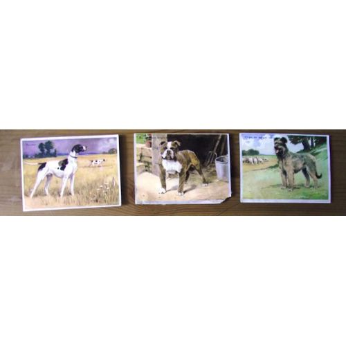 3.Images Déjeuner Elesca N°39 Ponter 46 Bouldogue Anglais 48 Chien De Berger(Brie).Possibilité Des Vente À L'unité