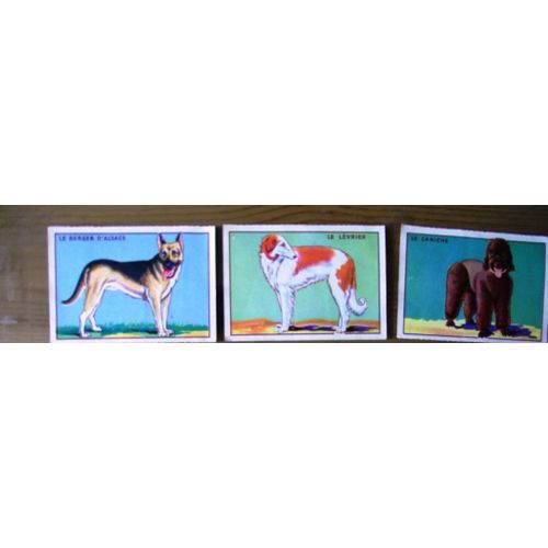 3.Images Margarine Céma: Le Berger D'alsace Le Lévrier Le Caniche.Possibilité Des Vente À L'unité.