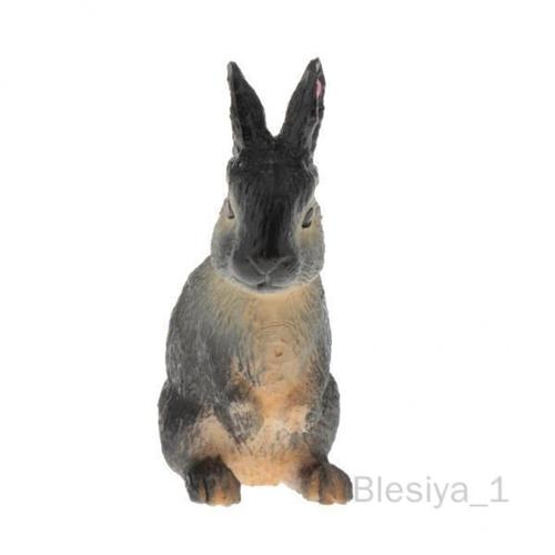 Blesiya 2 Figurines D'animaux Réalistes, Modèle Éducatif, Jouet Cognitif, Lapin