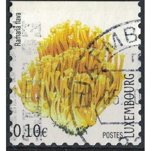 Luxembourg 2004 Oblitéré Used Champignon Ramaria Flava Clavaire Jaune Su