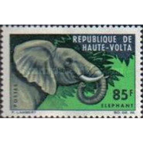 Animaux Indigènes (85) 1966