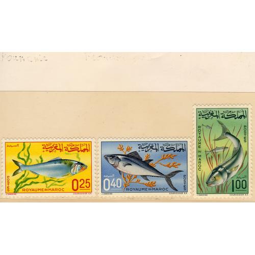 Timbres-Poste Du Maroc (Poissons)