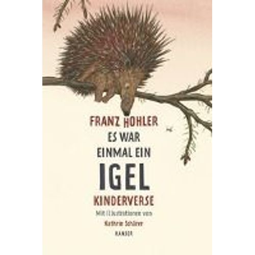 Es War Einmal Ein Igel