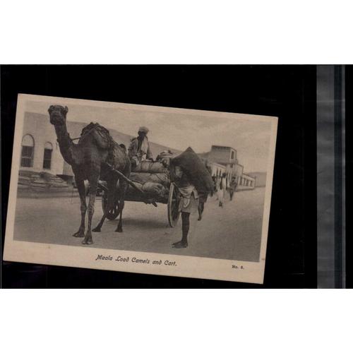 Carte Postale Rare Maala Load Camels And Cart - Aden En L'état Sur Les Photos