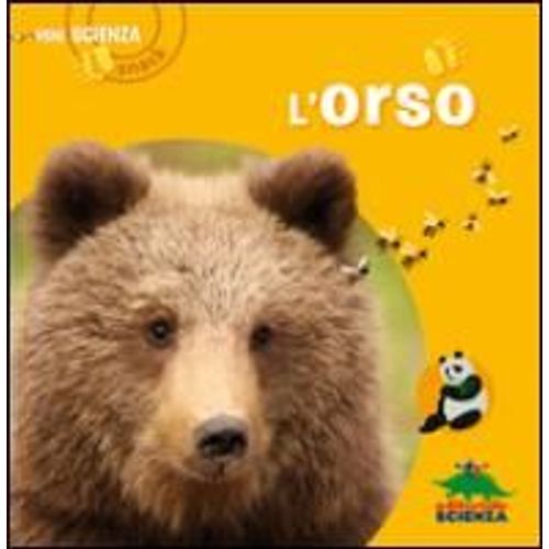 L'orso