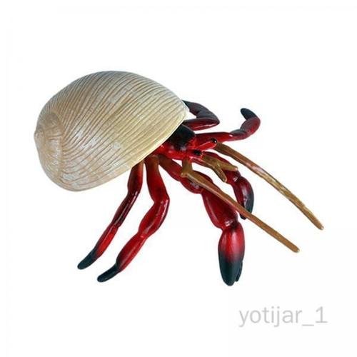 2 Crabe Fond Marin Solide Modèles Biologiques Plastiques Jouets Beige