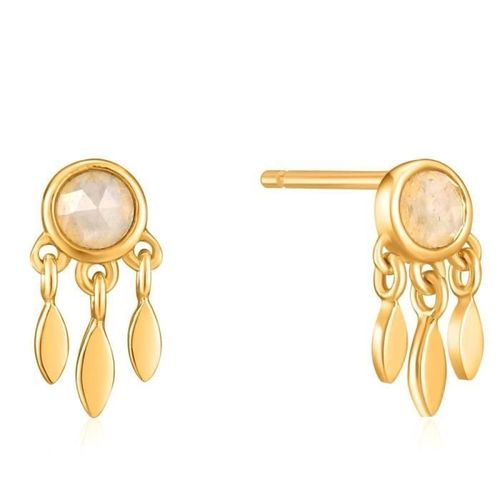 Boucled?Oreille Ania Loi Haie 925m Argent Plaqué 14k Collection Frange D'or De Minuit Fever Labradorite