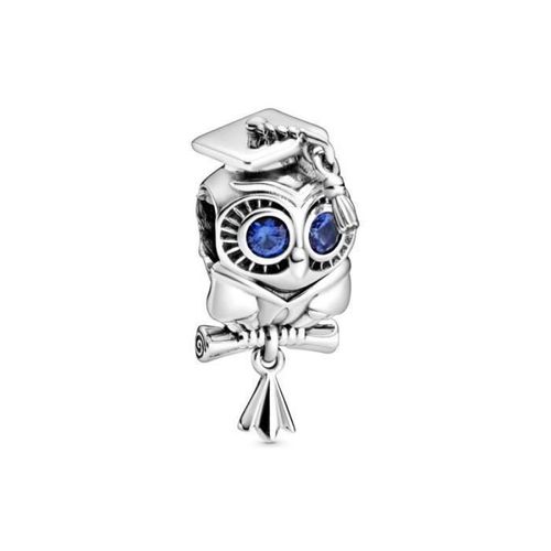 Charm Pandora 798907c01