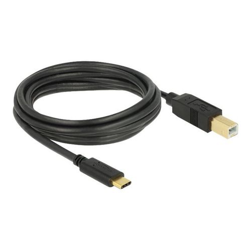 Delock - Câble USB - 24 pin USB-C (M) pour USB type B (M) - USB 2.0 - 3 A - 3 m - noir