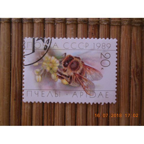 Timbre Poste Oblitéré Urss1989