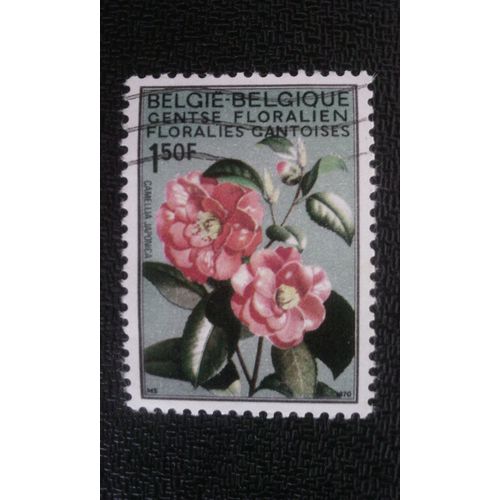 Timbre Belgique Yt 1523 Camellia Japonica 1970