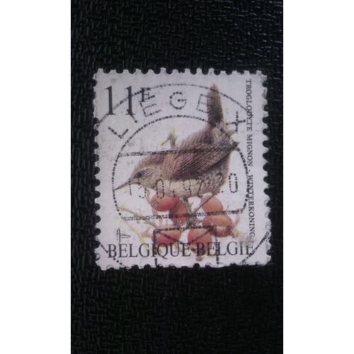 Timbre Belgique Yt 2449 Troglodyte D'eurasie 1992