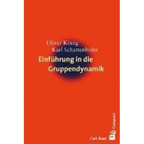 Einführung In Die Gruppendynamik