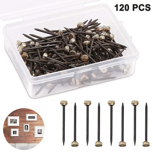 120 PiCes Clous Pour Tableau Pingles  Tte En Laiton Crochets Pour Photo TrempS Pingles Murales Pour Cintre 25mm De Long, Broches Pour Crochet  Clou Avec Bo?Te De Rangement En Plastique Clous Pour Image F