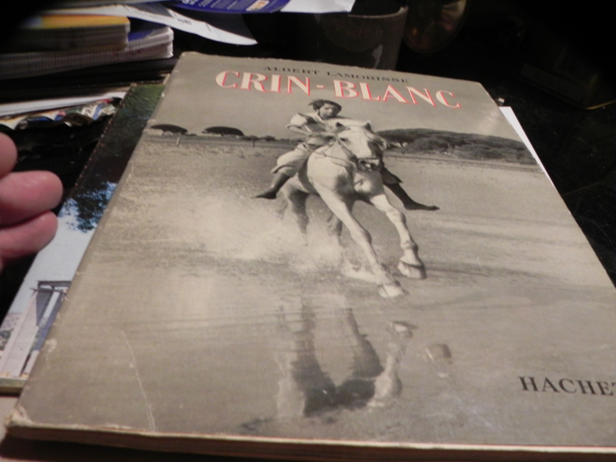 Crin-Blanc