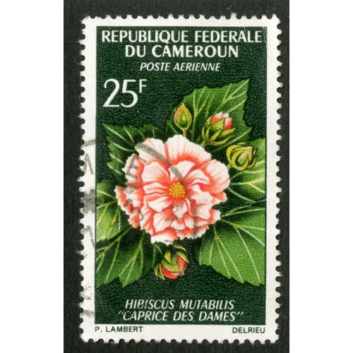 Timbre Oblitéré République Fédérale Du Cameroun ,Poste Aérienne, Hibiscus Mutabilis, Caprice Des Dames, Lambert, Delrieu, 25 F