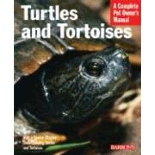 Turtles And Tortoises