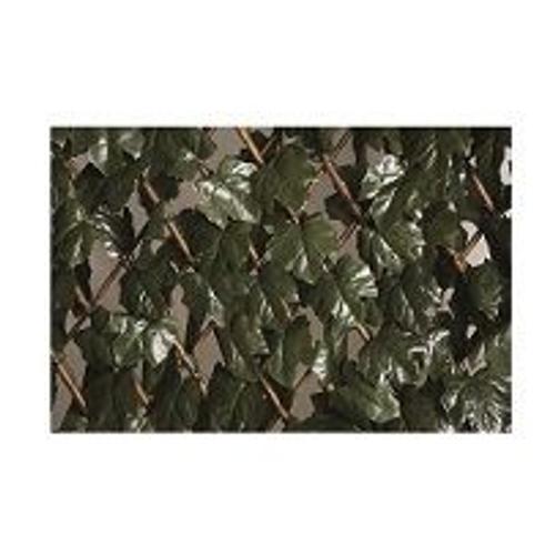 Treillis Osier Extensible A Feuilles 1x2m