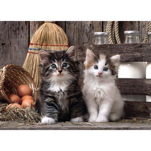 Puzzle Adulte 1000 Pieces : 2 Mignons Petits Chatons - Collection Animaux - Chat - Clementoni